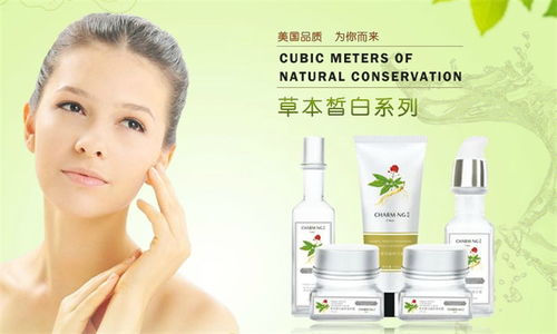 秀匣化妝品 視覺美學與品牌魅力，一站式店鋪裝修與產品展示指南